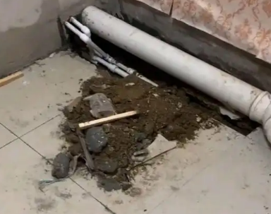 莒县卫生间漏水检测哪家好
