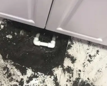 莒县查漏水哪家好
